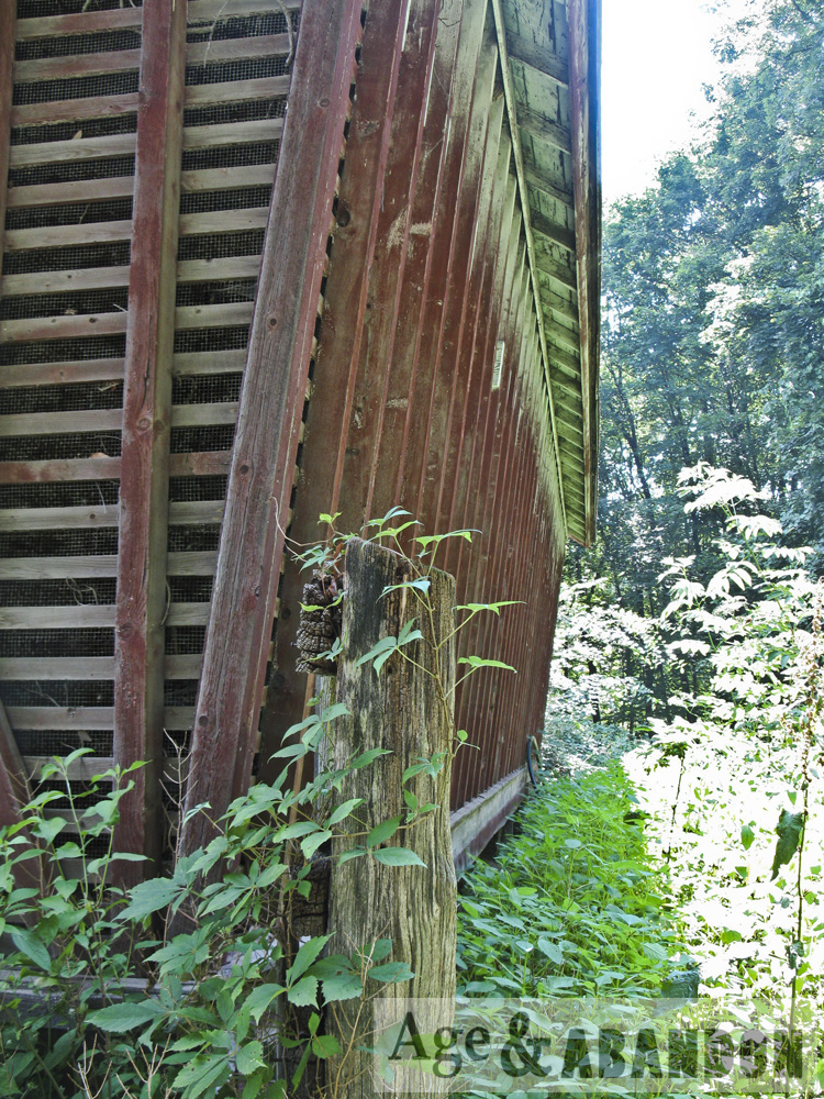 Vassar Farms, Poughkeepsie, NY Age & Abandon