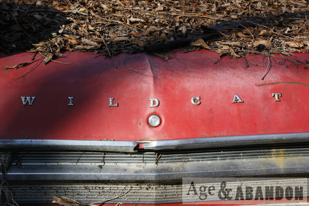 Car Junkyard, Old Post Road, Wappingers Falls, NY Age & Abandon