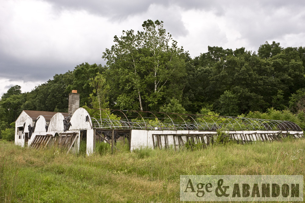 Hudson Valley Gardens & Florist, Poughkeepsie, NY Age & Abandon