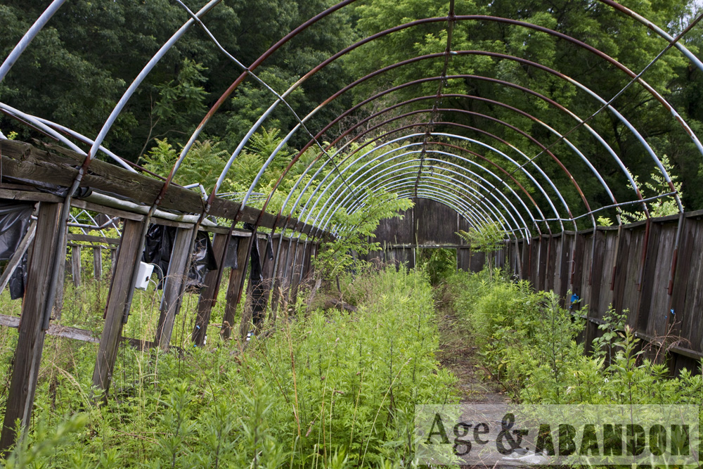 Hudson Valley Gardens & Florist, Poughkeepsie, NY Age & Abandon