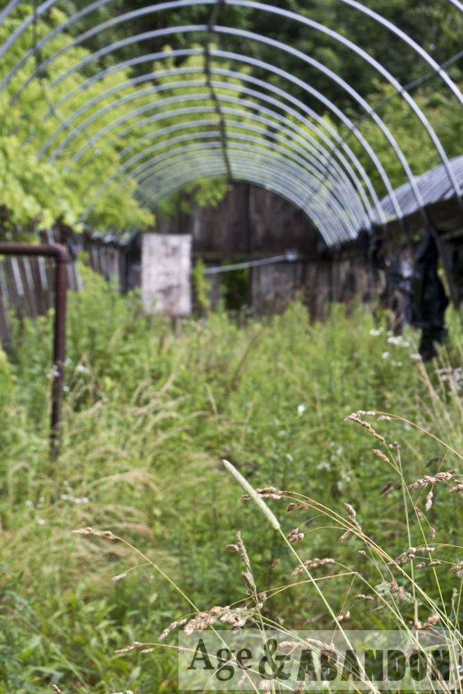 Hudson Valley Gardens & Florist, Poughkeepsie, NY Age & Abandon