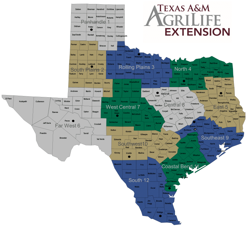 Build Your Own Budgets Extension Agricultural Economics