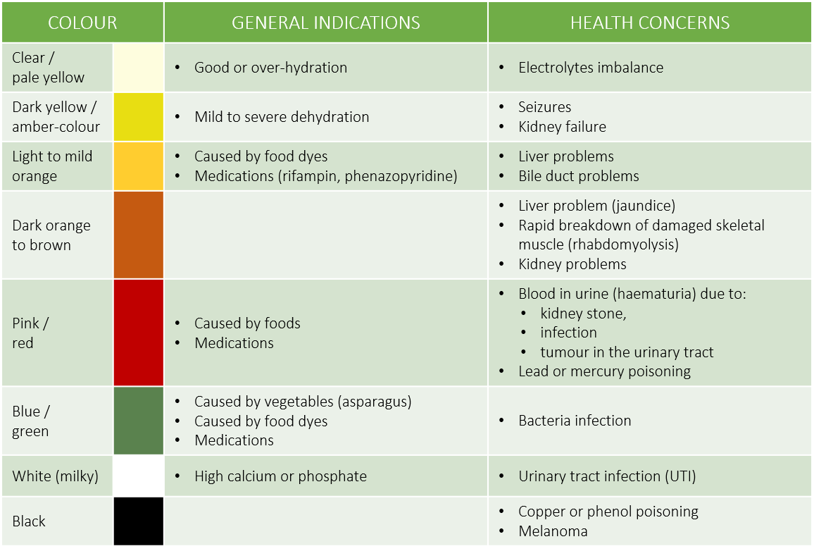 Urine and the health of your urinary tract system ageingray