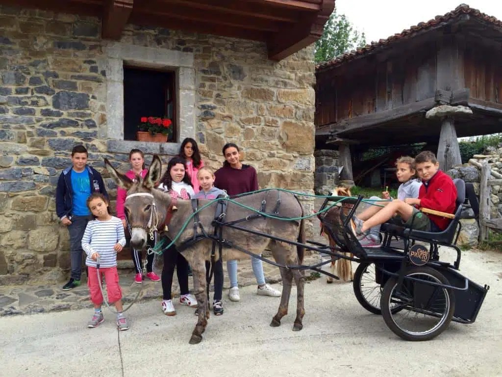 10 propuestas de Agroturismo con niños