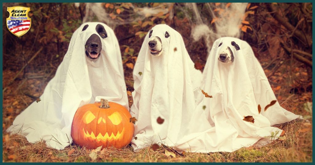 Tips for Throwing a Halloween Party