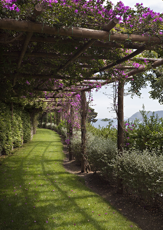 Giardini mediterranei Idee e segreti AG&P greenscape