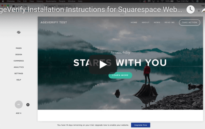 Adding an Age Verification Pop-up SF Digital