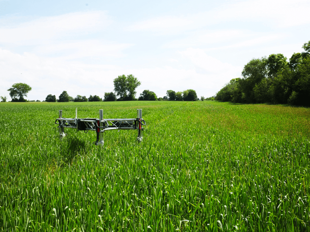 The week in agrifoodtech Plantbased salmon reels in 12m, new funding