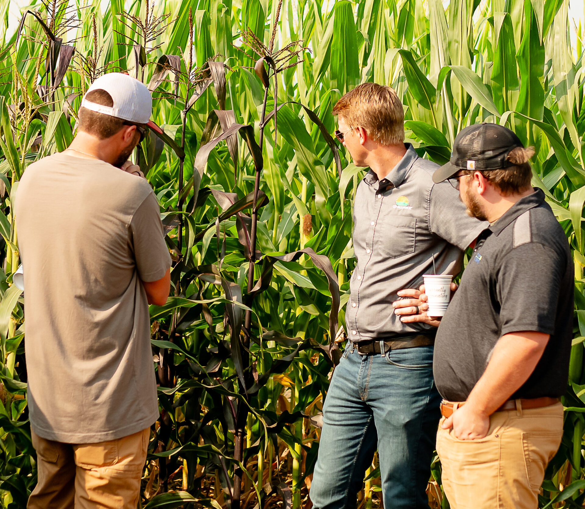 Meet the founder How Insignum AgTech’s Kyle Mohler got plants to ‘talk