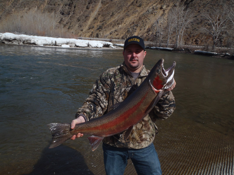 Early Steelhead Fishing Trips Aggipah River Trips Salmon, Idaho