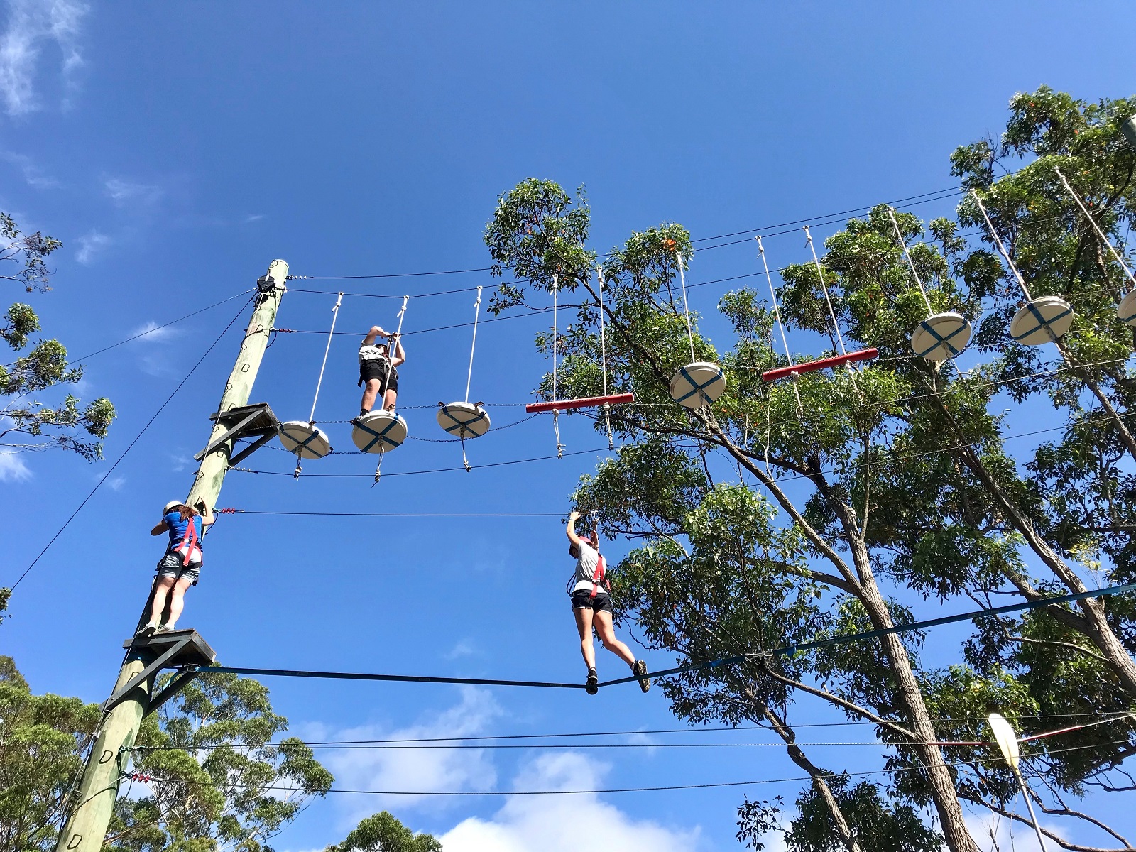 Day Visit Programs AGH Camps