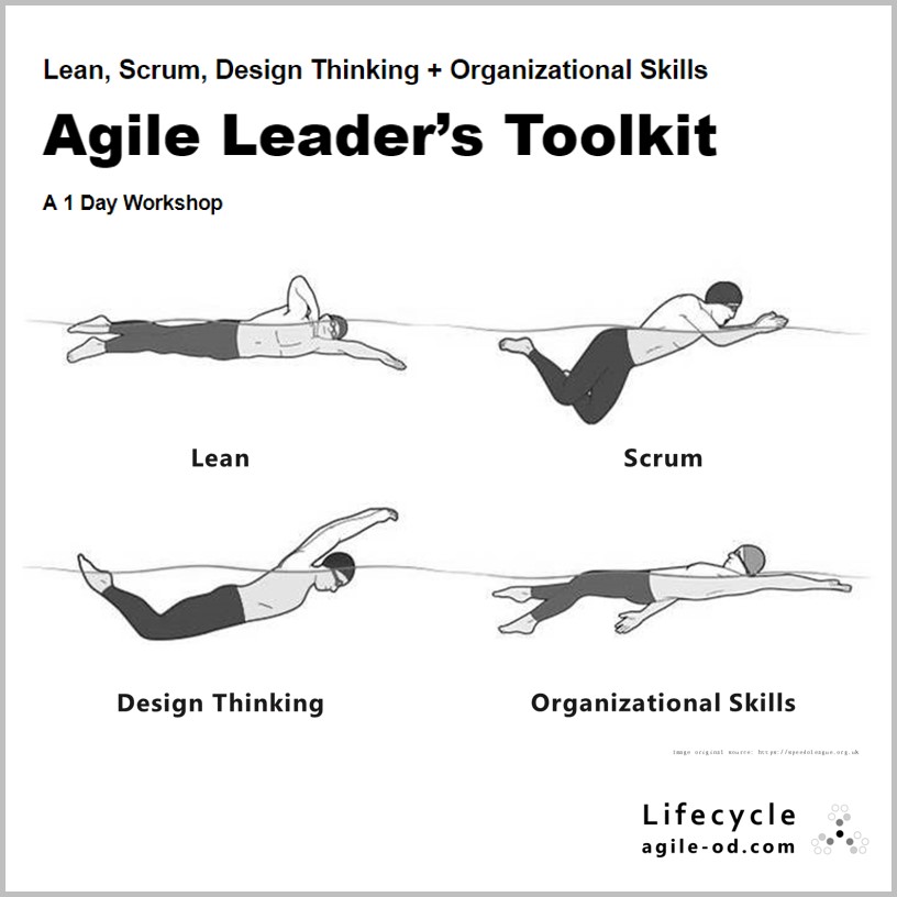 Agile Leader’s Toolkit Lean, Scrum, Design Thinking + Org Skills