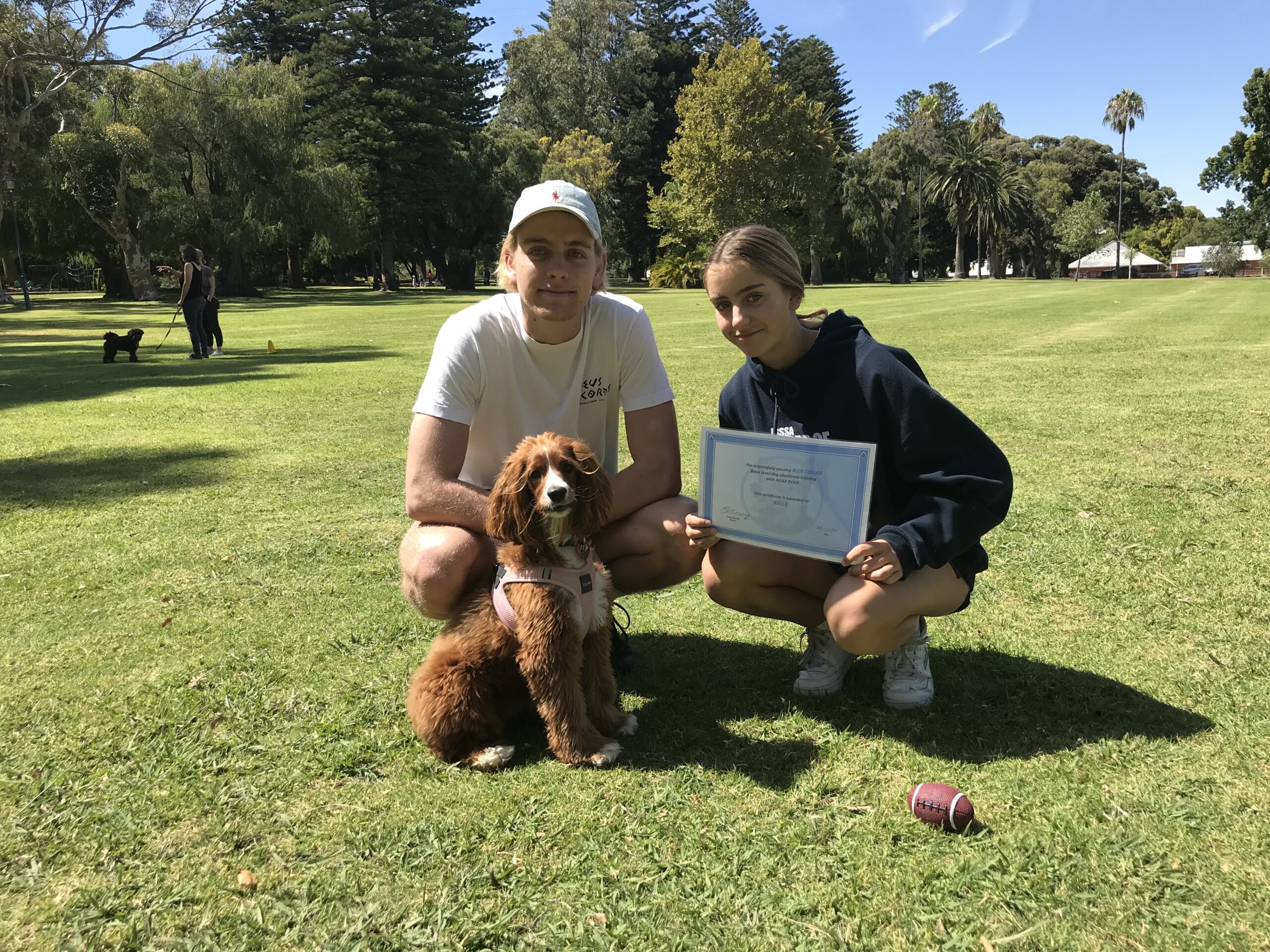 Expert Dog Obedience Training Perth Agile Dogs