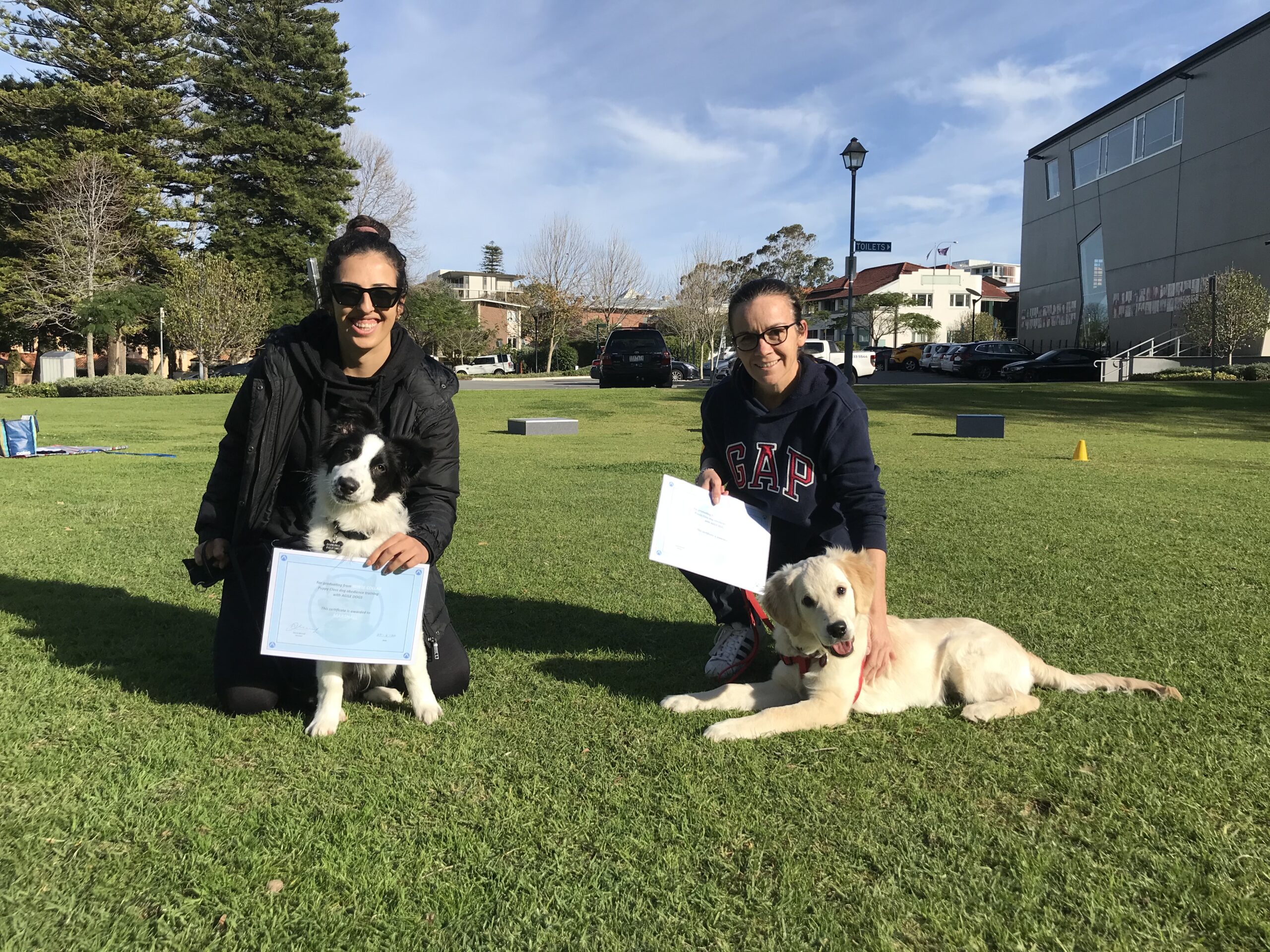 Expert Dog Obedience Training Perth Agile Dogs