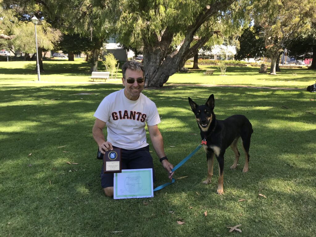 Expert Dog Obedience Training Perth Agile Dogs