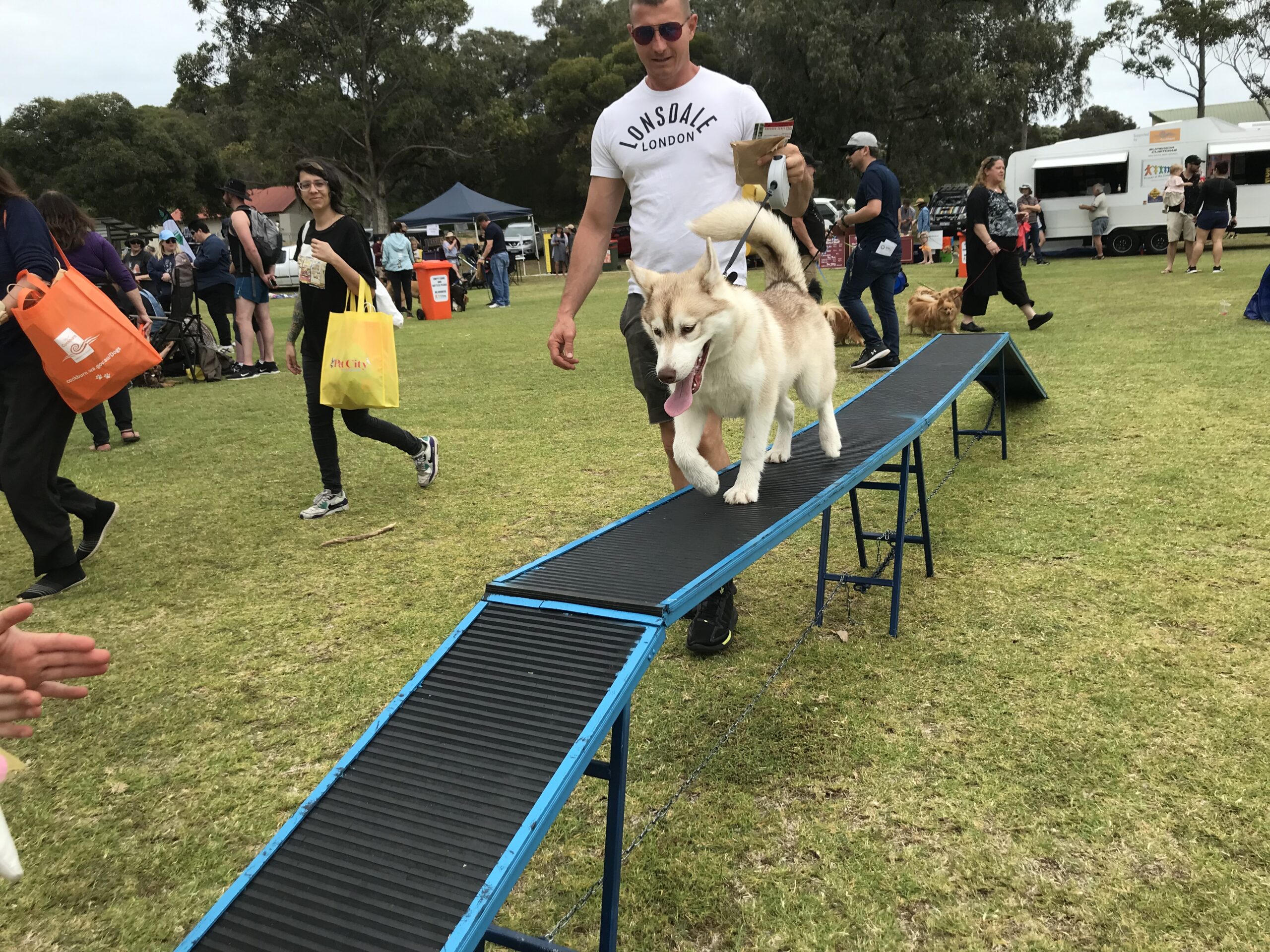 Number One Dog Agility Course Perth Agile Dogs