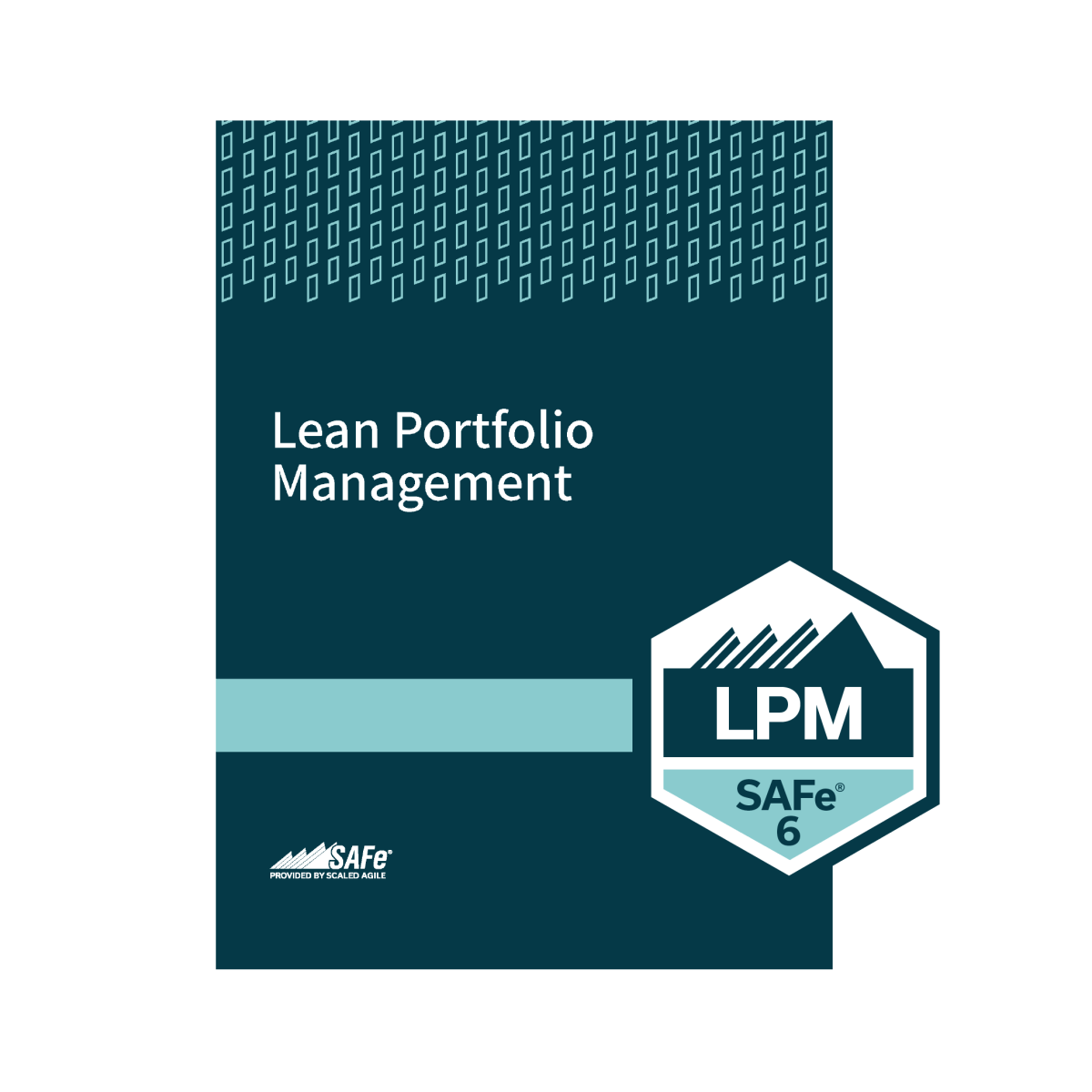 Lean Portfolio Management 6 Agility Consulting International