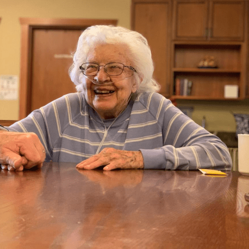 Home Care Services Arkansas Association of Area Agencies on Aging