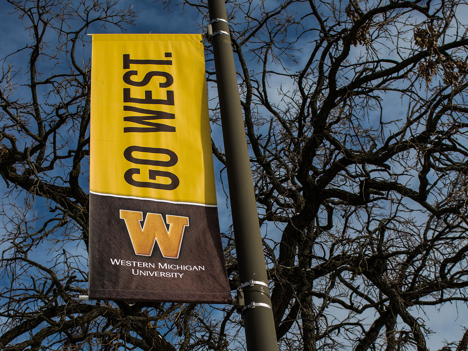 Banners Agio Imaging