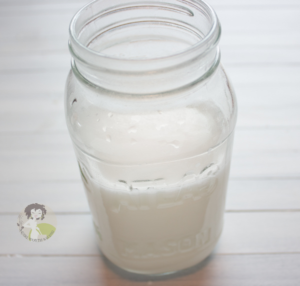 How to Make Coconut Milk A Girl Worth Saving