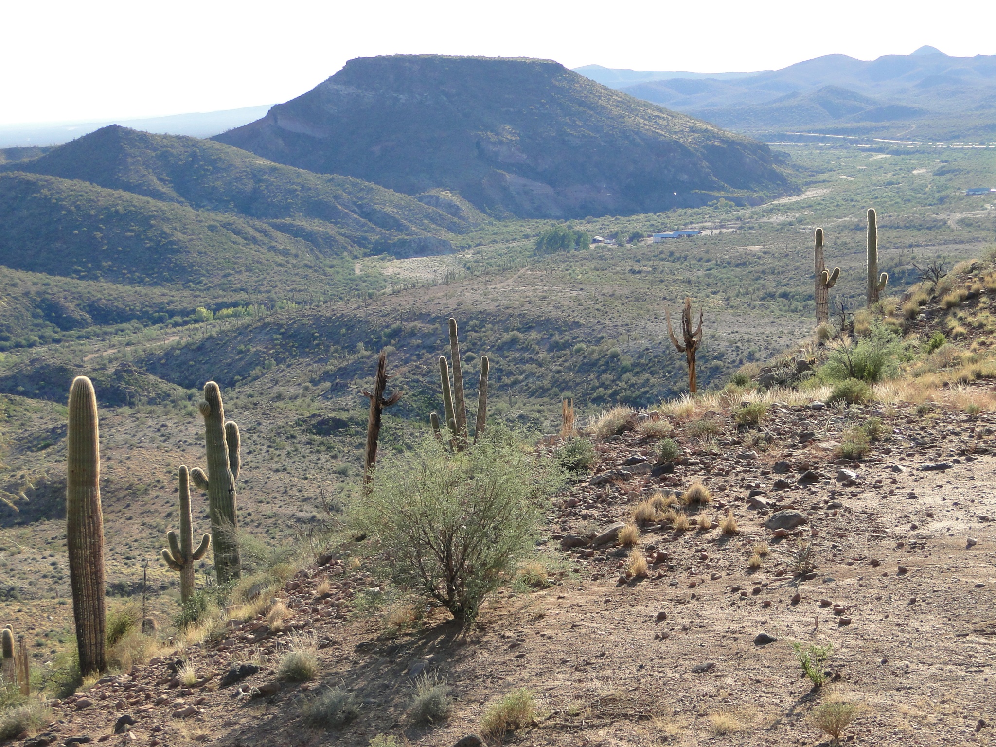 TT Ranch SOLD AG Lands Southwest