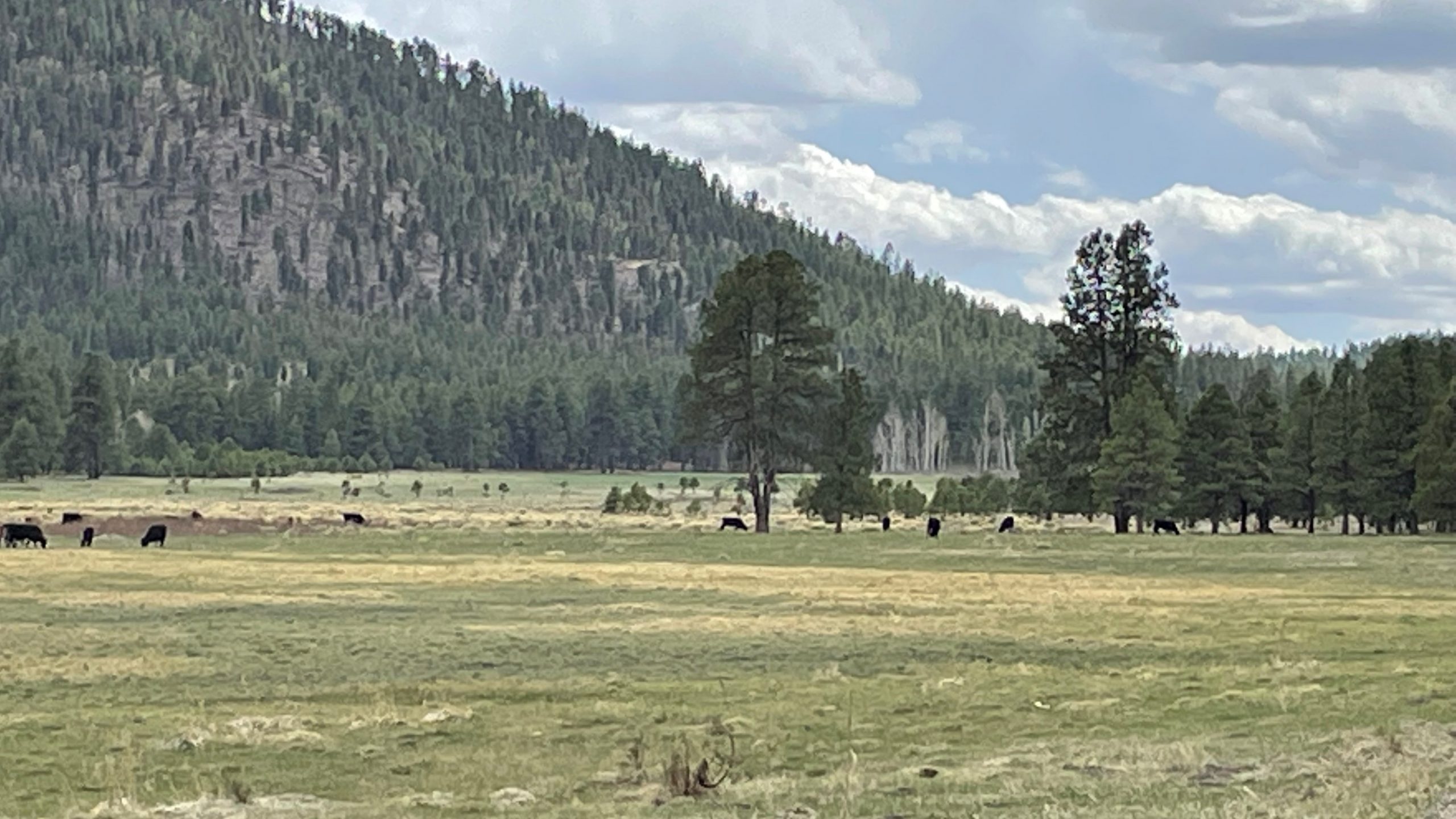 Elk Springs Ranch SOLD AG Lands Southwest Northern Arizona