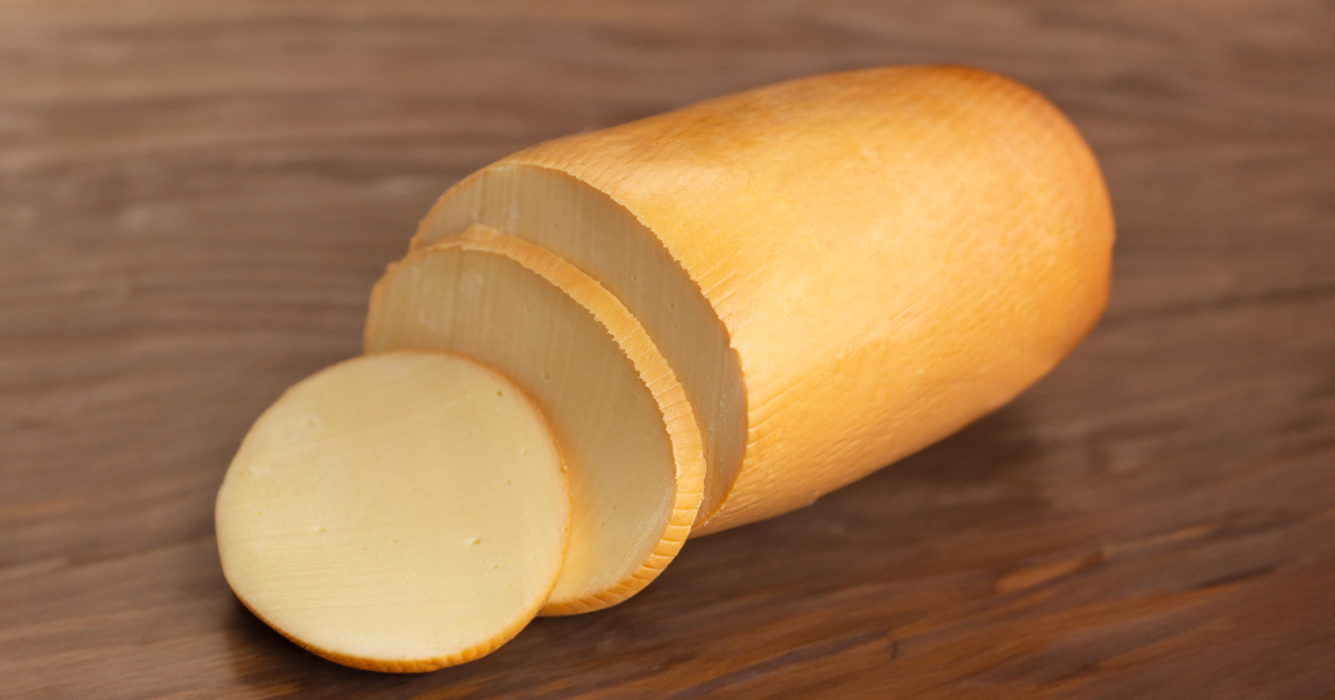 Provolone Vs. Cheddar Cheese » AGAH Productions