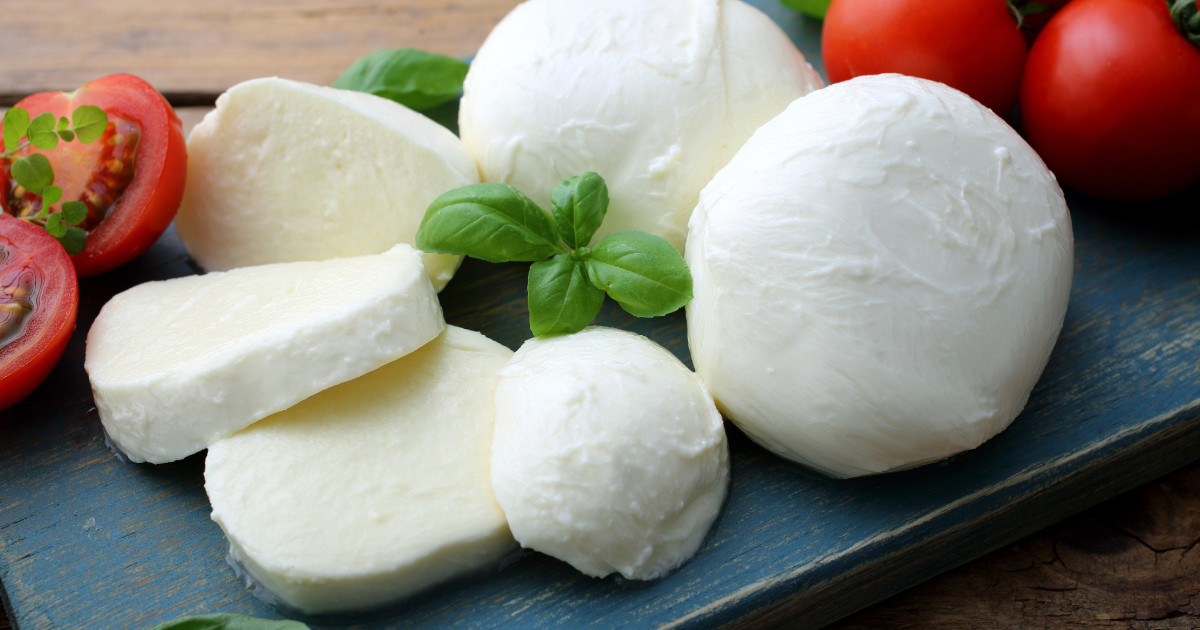 Wisconsin Brick Cheese Vs. Mozzarella Cheese » AGAH Productions