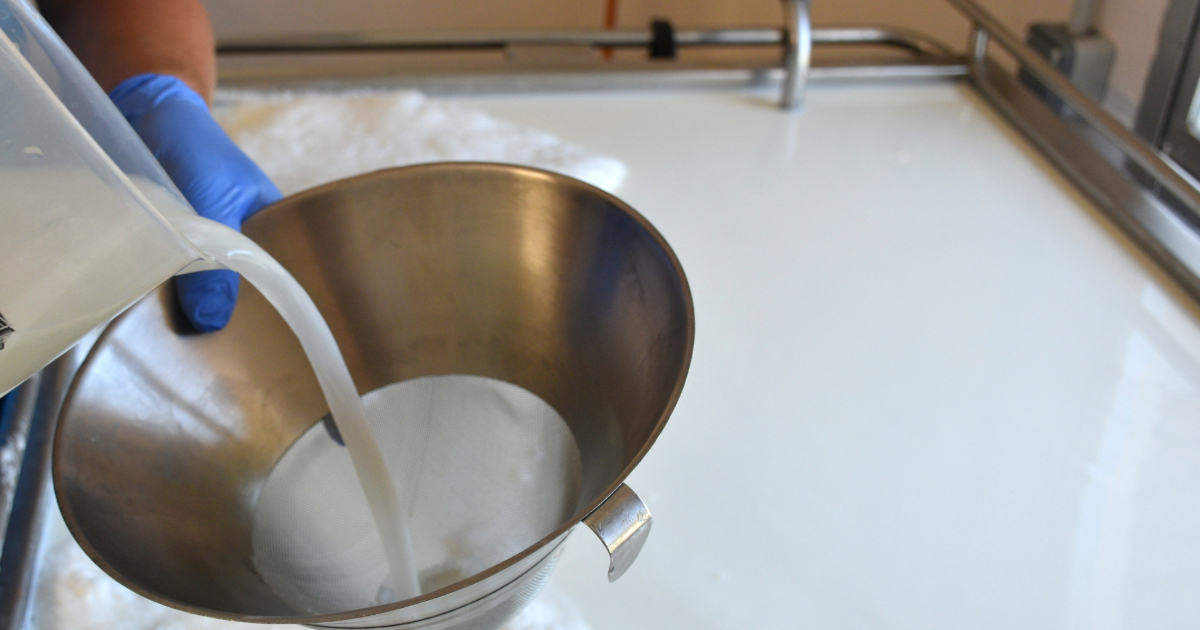 What Is Cheese » AGAH Productions