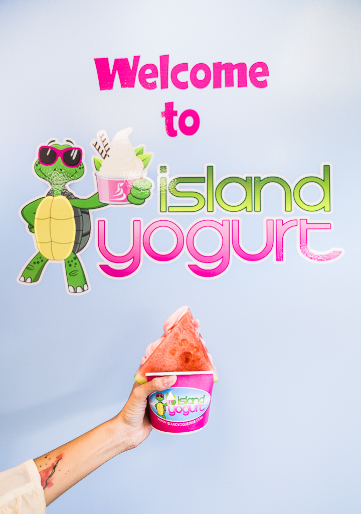Froyo With A Twist At Island Yogurt Aiea, Hawaii