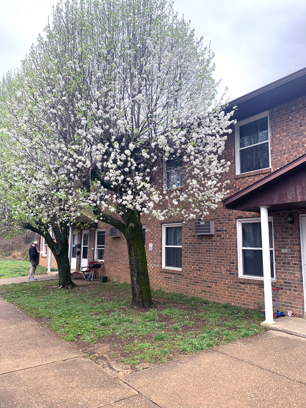 Southwind Apartments Affordable Apartments, Mount Vernon, IN