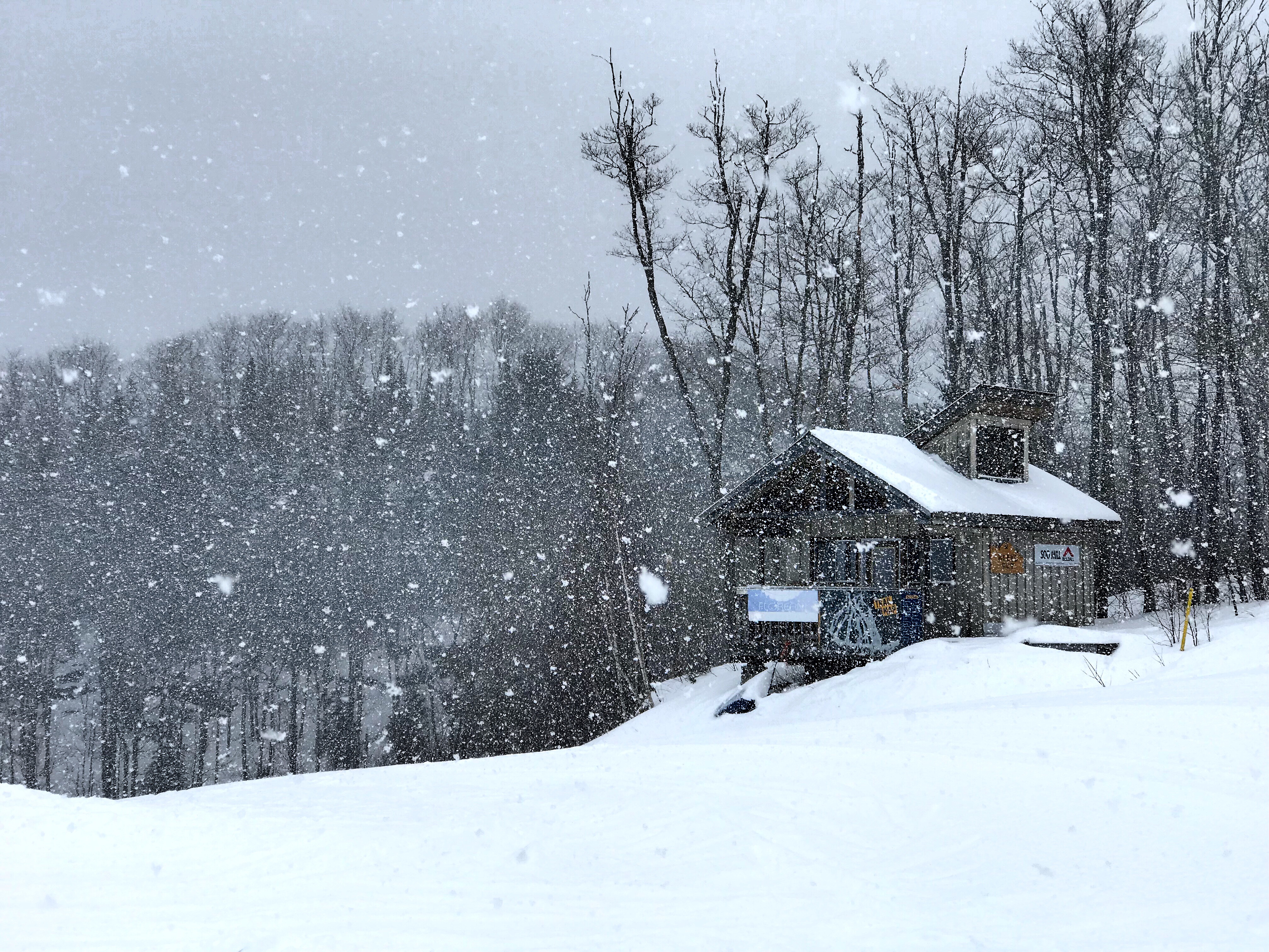 Snow day at Searchmont