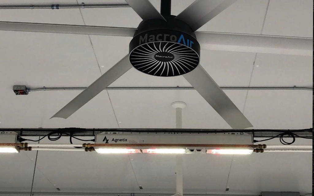 Air Circulation is Essential for Greenhouse Climate