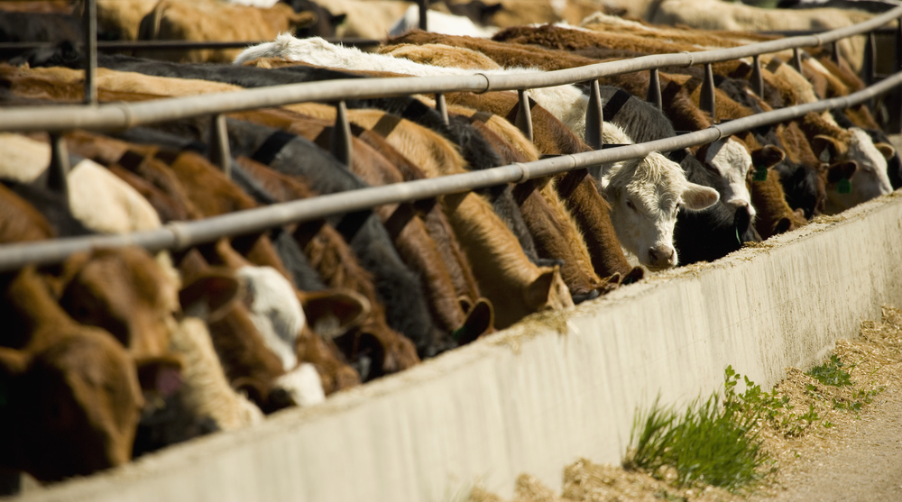Mixed Response to Reintroduction of Farm System Reform Act