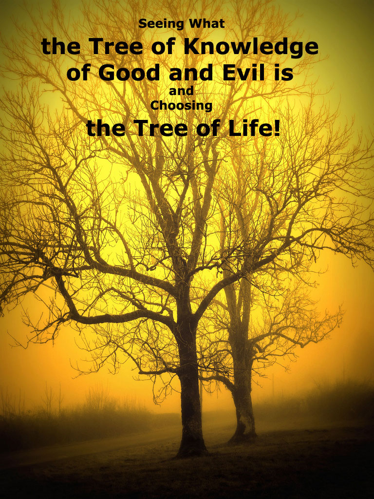 Seeing What the Tree of Knowledge of Good and Evil is and Choosing the