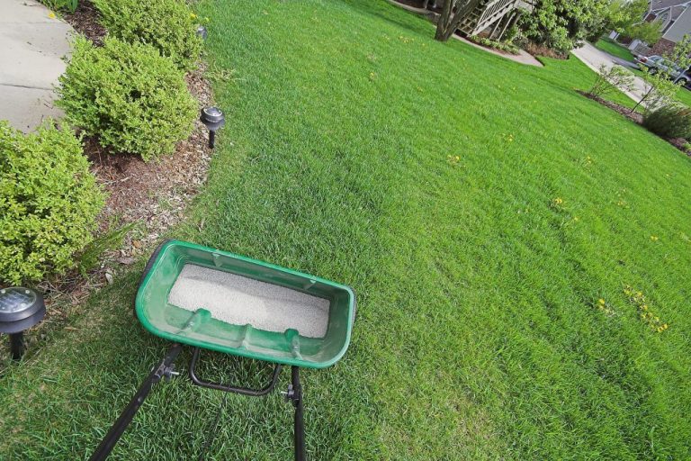 How often should I fertilize my lawn? A Good Garden