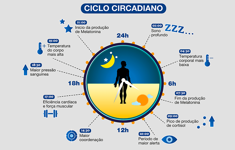 Ciclo circadiano é o período em que o “relógio interno” mantém as