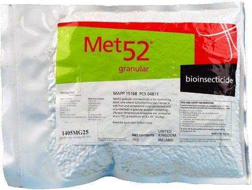 Root Aphids cannabis pest control Safe, EcoFriendly Organic Pest Control