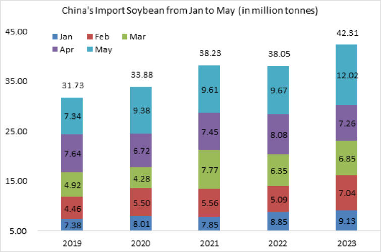china soybean import