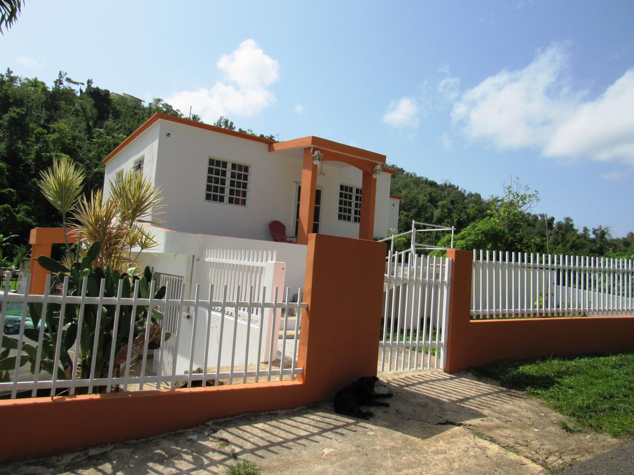 Bo. Aibonito Carr 489 Ramal 4489 Km 1.6 Sect. Baez Hatillo PR 00659