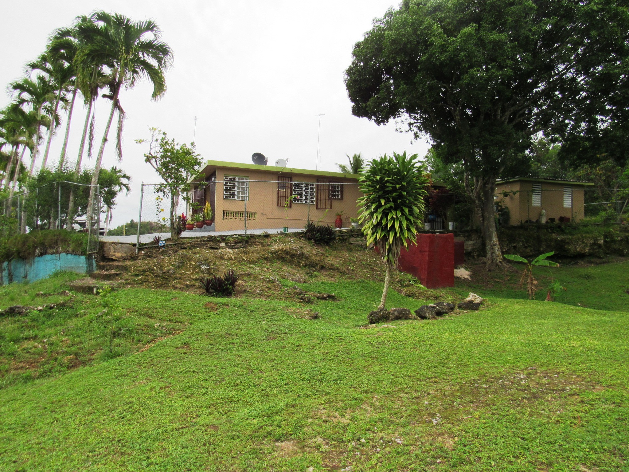 Bo. Aibonito Sector Aguila carr 489 Km 4 Hatillo PR 00659 AG Quality