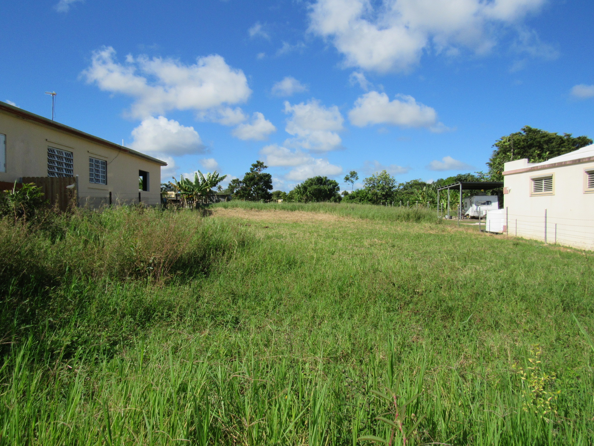 Bo Camuy Arriba Sect El Palomar Carr 119 int Camuy PR 00627 AG