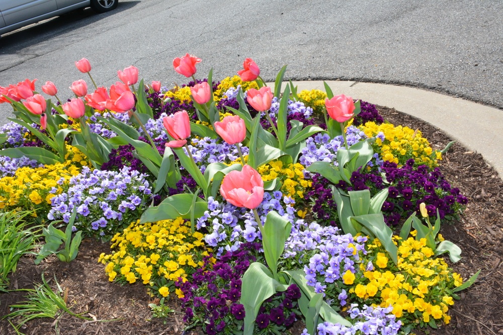 5 Alternatives To Mulch In Flower Beds A Green Hand