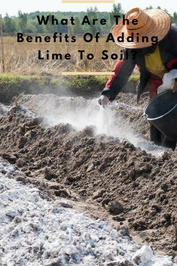 What Are The Benefits Of Adding Lime To Soil? A Green Hand