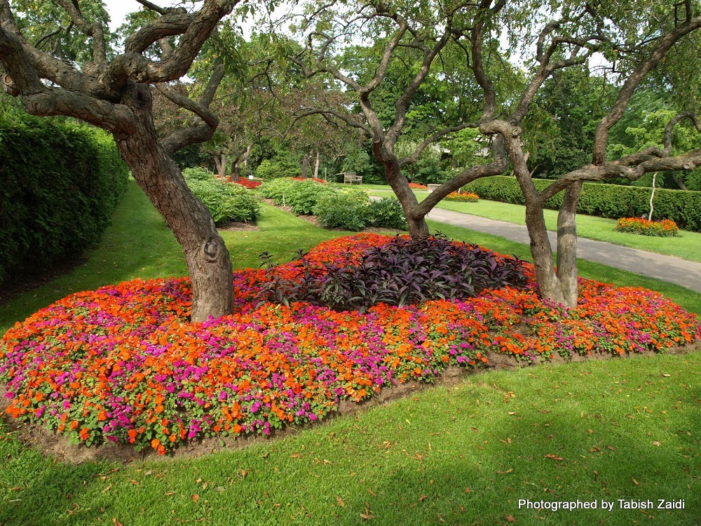 10 Beautiful Flower Bed Landscaping Ideas To Brighten Your Garden