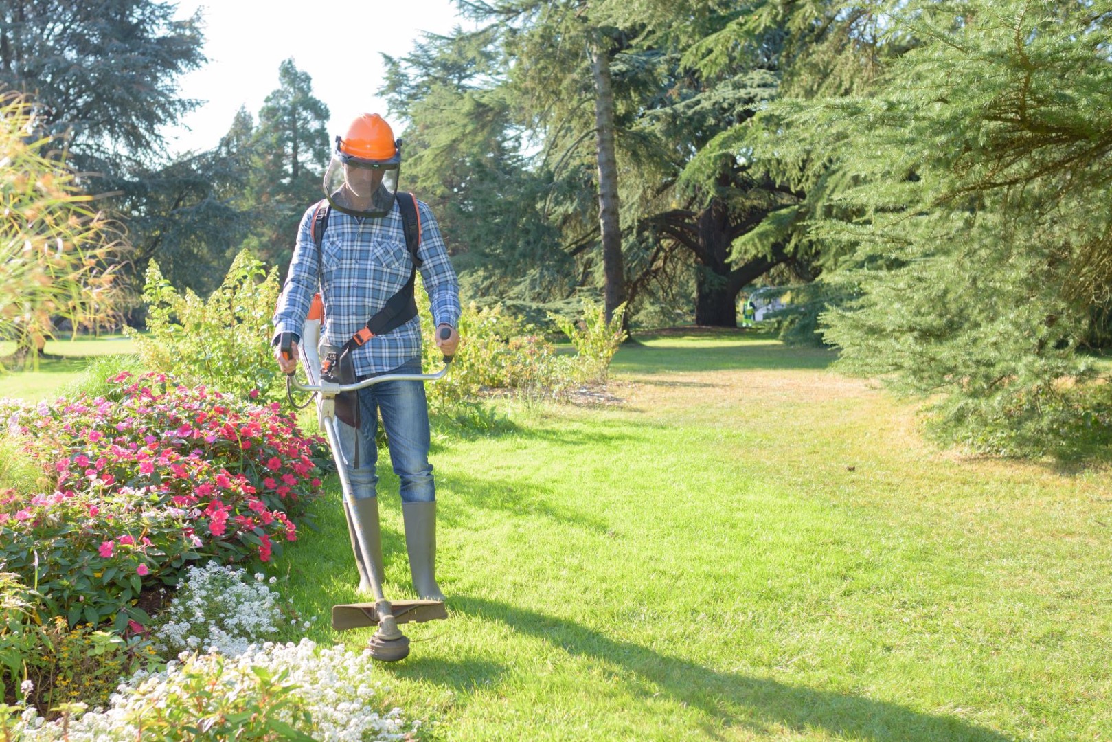 What Are The Benefits Of Using A Weed Trimmer For Your Lawn? AGreenHand