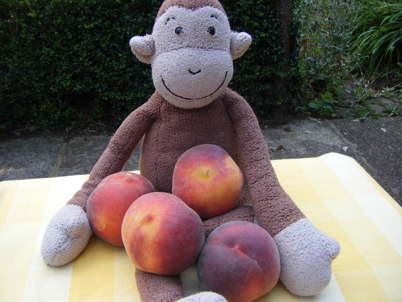 Count to 10 in French