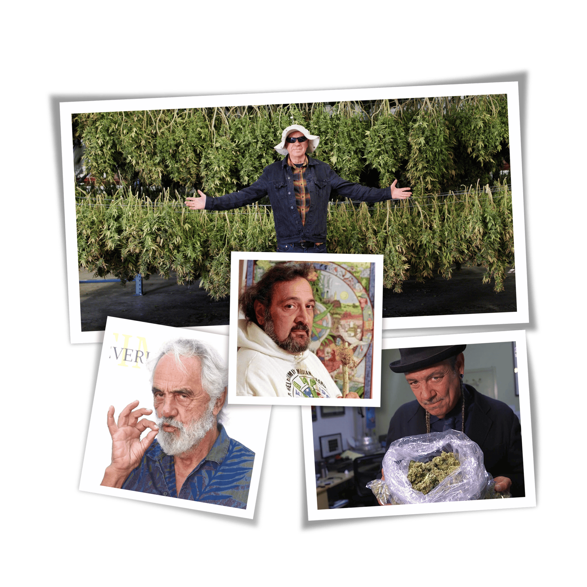 Notorious AgriGenesis Missouri Cannabis Cultivator and Manufacturer