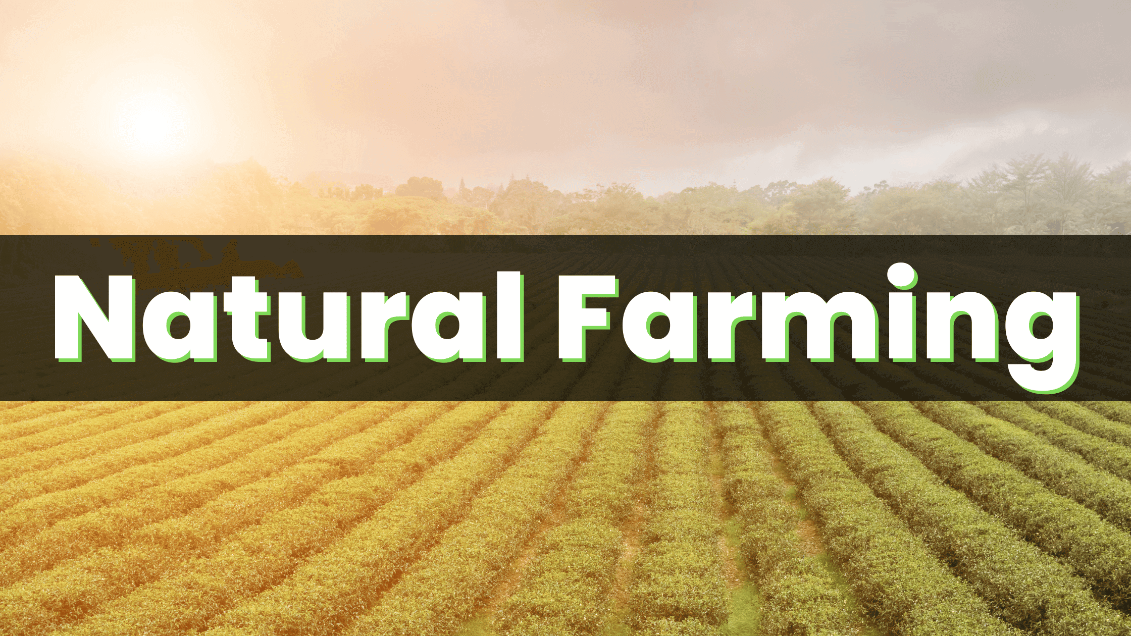 Natural Farming Definition, History and Benefits Agri Books