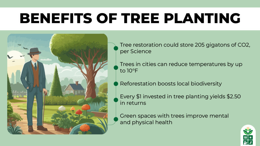 Benefits of Tree Planting